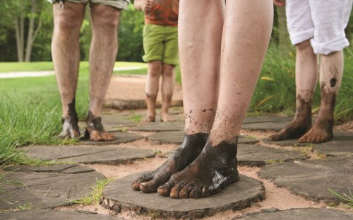 Barefoot Walk at the Trentham Estate, Stoke-on-Trent
