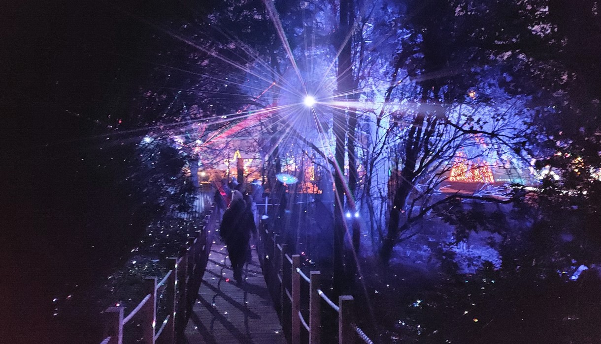 Laser Glade